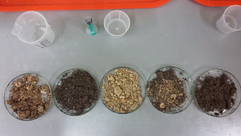 Soil-samples-1