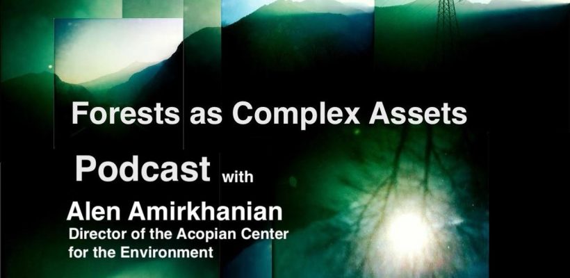 Forests as Complex Assets, EVN podcast