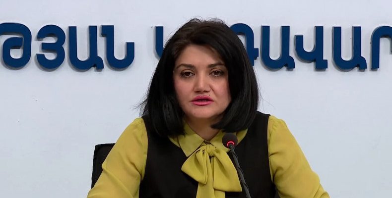 Lena Nanushyan press conference